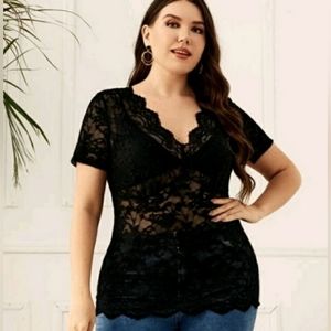 New! Stretch lace, short sleeve, scalloped lace V-neck blouse.